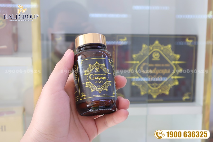 Những điều cần biết về Đông Trùng Hạ Thảo Cordyceps 950 trên cả nước