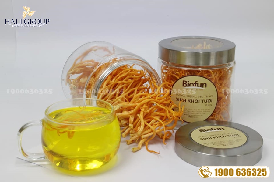 Đông Trùng Hạ Thảo Việt Nam Biofun - dược phẩm uy tín hàng đầu hiện nay