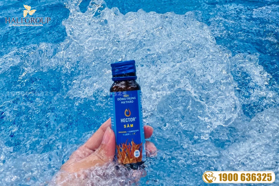 Phân phối Nước Đông Trùng Hạ Thảo Hector Sâm trên cả nước