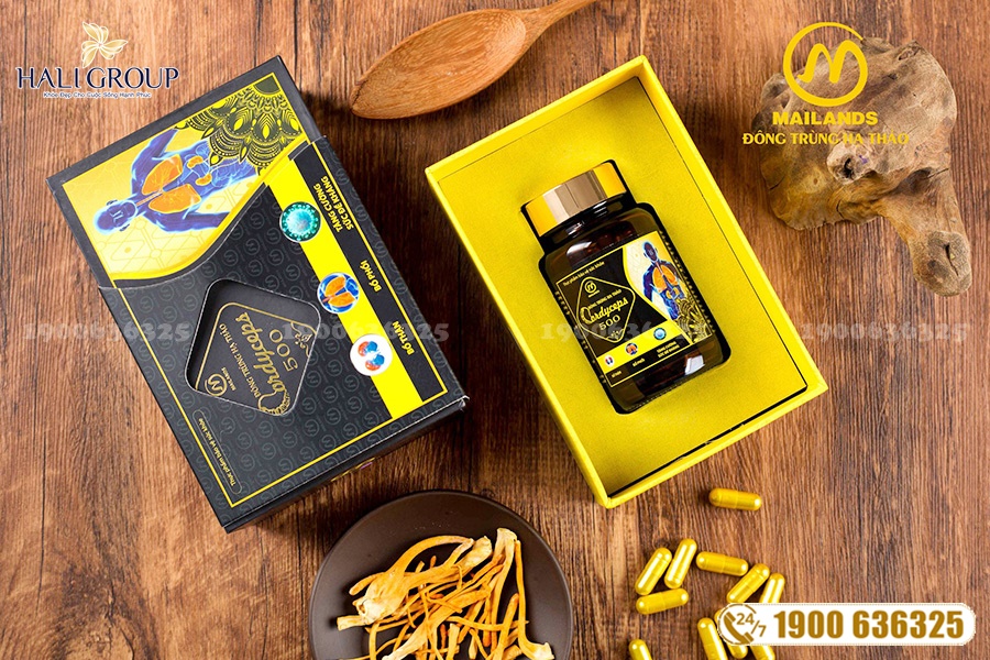 Nơi bán Đông Trùng Hạ Thảo Cordyceps 500 trên toàn quốc